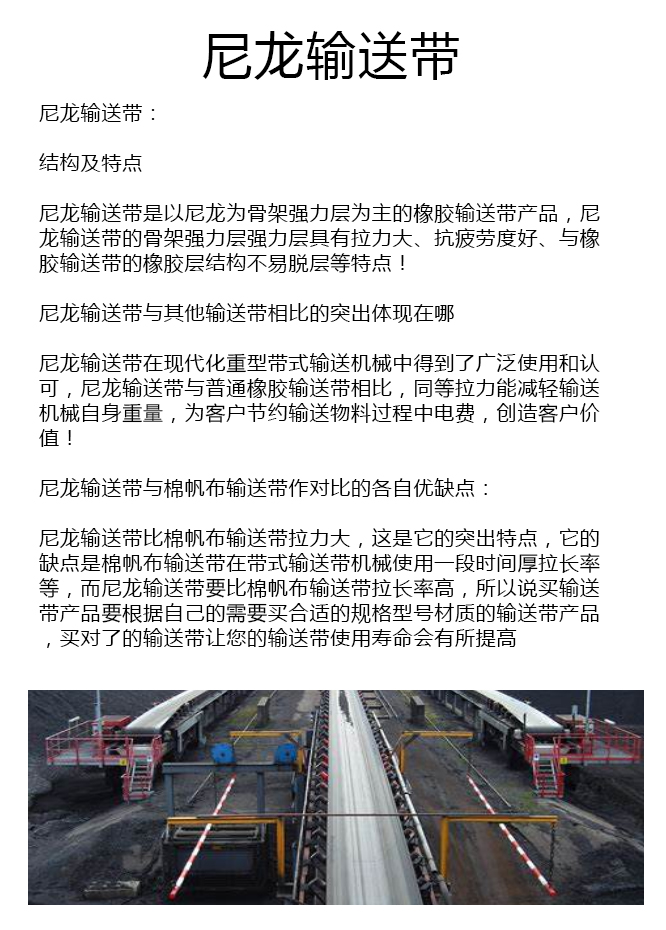 1594863744246590.jpg 尼龙输送带.jpg